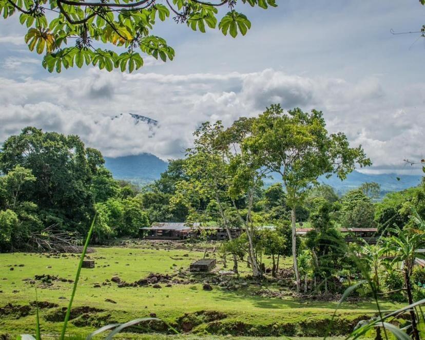 Linda Casa De Verano Con Amplias Zonas Verdes San Isidro De El General ภายนอก รูปภาพ