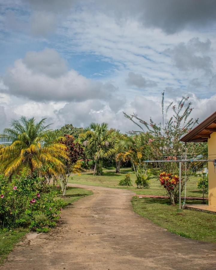 Linda Casa De Verano Con Amplias Zonas Verdes San Isidro De El General ภายนอก รูปภาพ