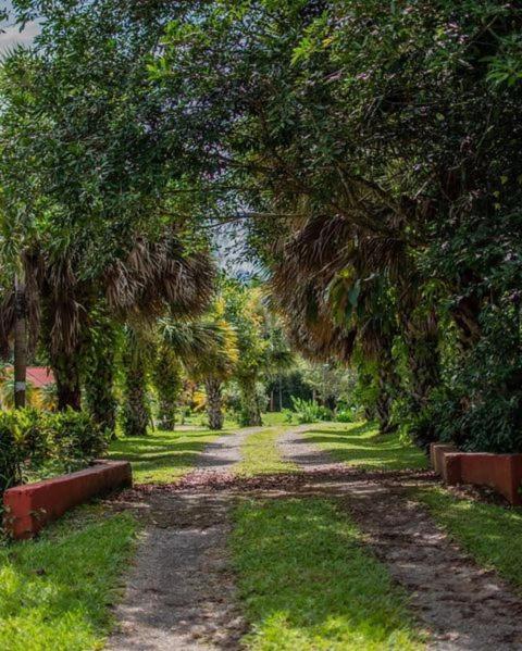 Linda Casa De Verano Con Amplias Zonas Verdes San Isidro De El General ภายนอก รูปภาพ